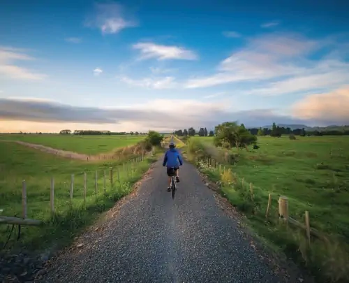 Biking through New Zealand farmland